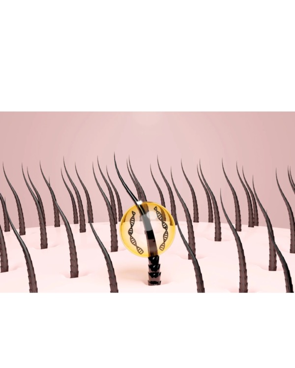 Herbal Hair Oil - Image 4