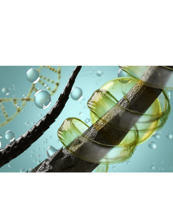 Herbal Hair Oil - Image 5